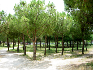 parque de cataluña en sabadell